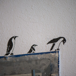 Photo de trois pingouins dessinés sur un mur