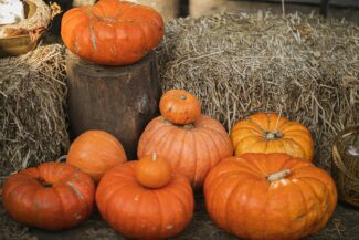 Photo de différentes courges sur une botte de foin