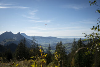 Vue sur les Préalpes fribourgeoises depuis le sommet de Charmey